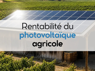 Photovoltaïque agricole : rentabilité et comment maximiser vos revenus